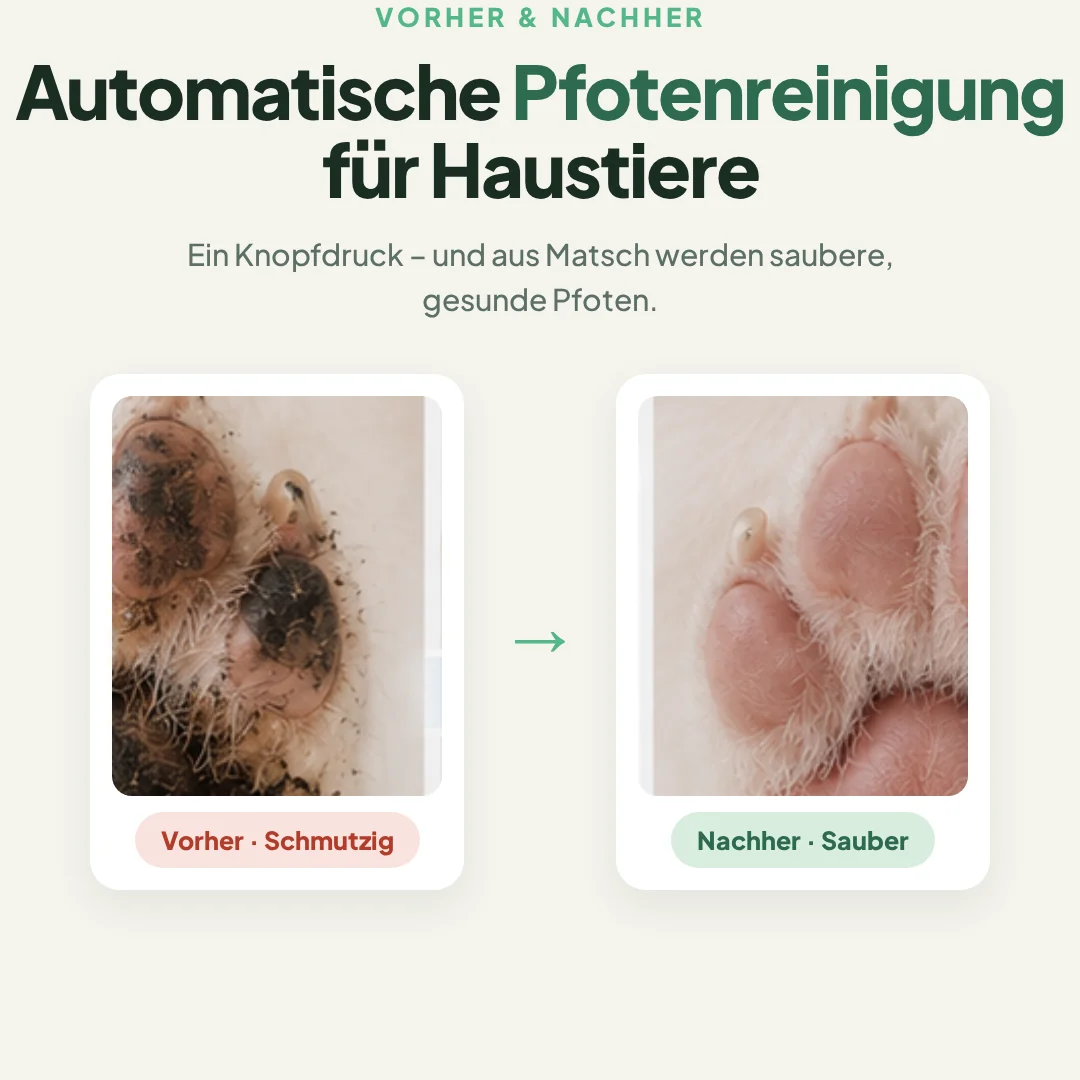 Vorher & Nachher